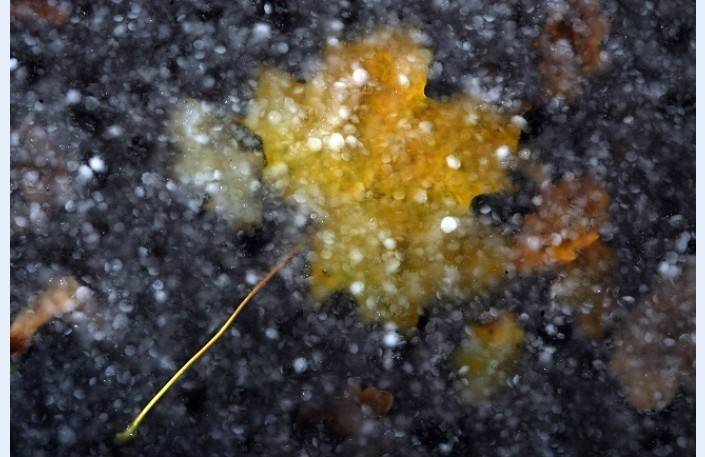 Tuvākajās dienās vējains laiks un gaidāms pirmais sniegs