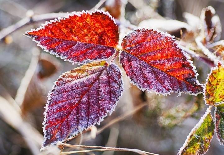 Visaukstākā nakts aizvadīta Jelgavā - mīnus astoņi grādi