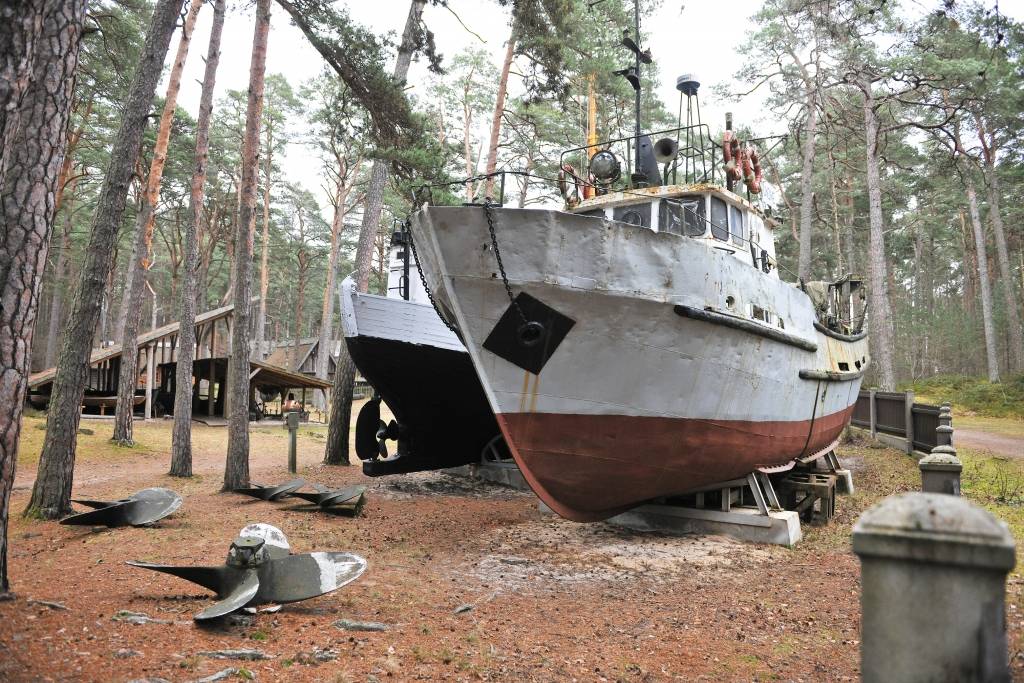 FOTO: Ragakāpu saudzē, veidojot dabas takas