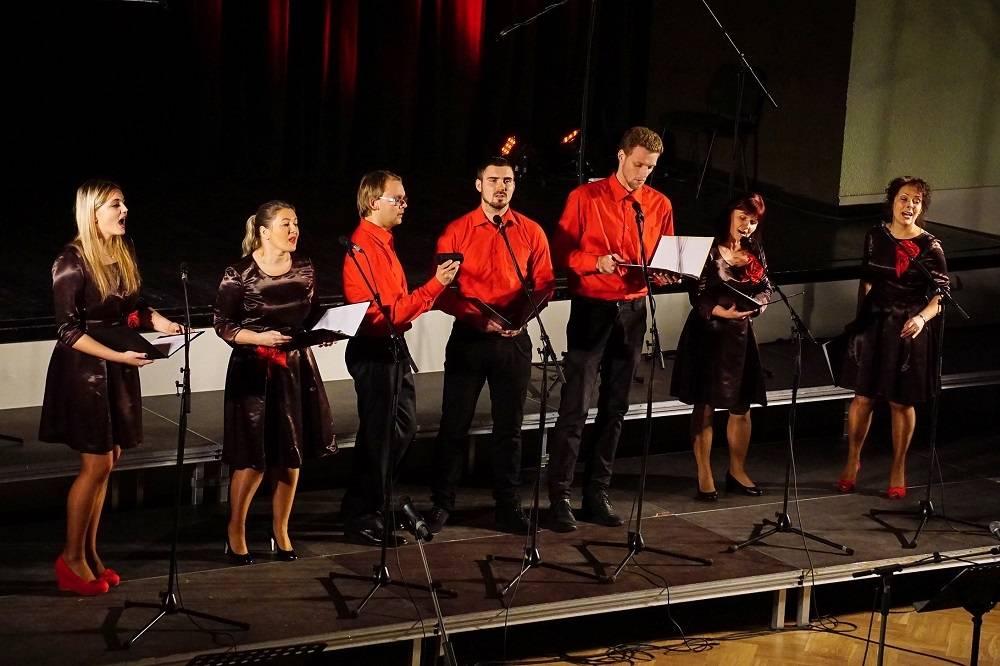 Ziemassvētku koncertu sniedz vokālie ansambļi "Šokolāde", "Dziedonis" un mūziķu apvienība "Gulbju dīķa Jazz Band"