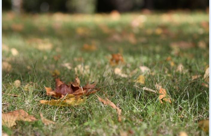 Otrdien vējš kļūs brāzmains