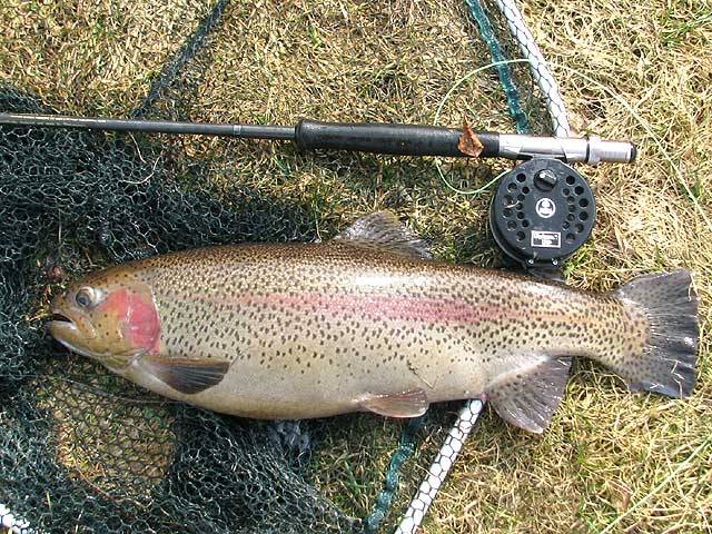 Nosaka stingrākus makšķerēšanas ierobežojumus