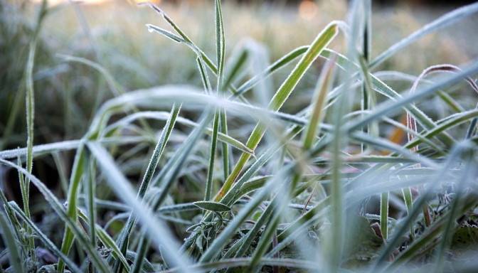 Naktī Latvijā gaidāms sals līdz mīnus 7 grādiem