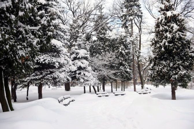 Novērojumi dabā liecinot par garu ziemu