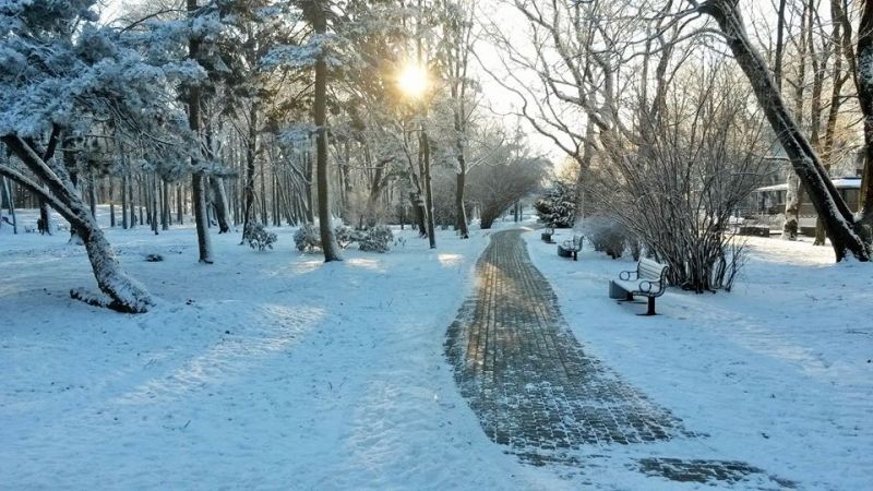 Aicina uz sadziedāšanos latviešu tautasdziesmās kafejnīcā "Kursas Putni"