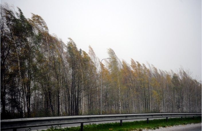 Sinoptiķi brīdina par vēja pastiprināšanos naktī uz otrdienu