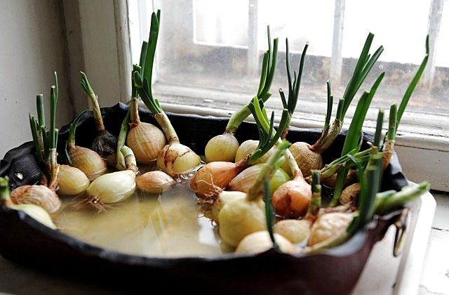 Pāvilostā jaunais siltuma rekords ir 8,7 grādi, Liepājā - 8,8 grādi