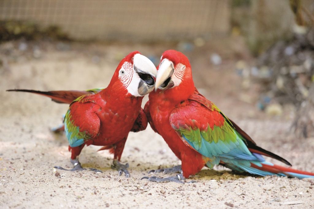 Kā organismā esošās vielas mūsu vietā izlemj, ar ko būsim kopā