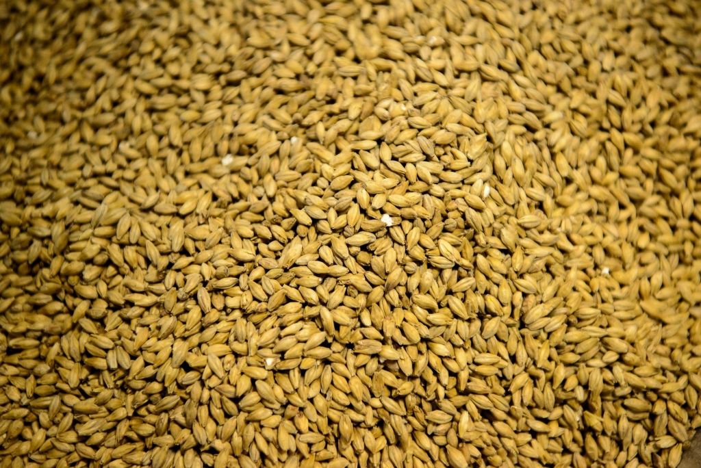 Lielvārdes alus uzsācis sadarbību ar Latraps jauna alus radīšanā 