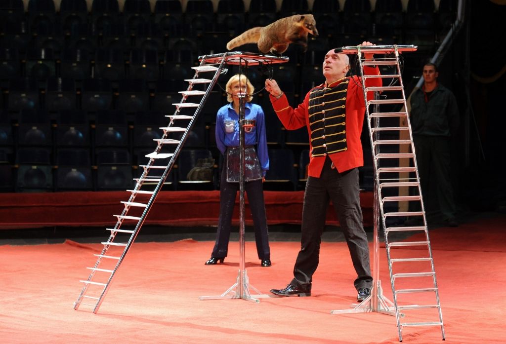 Pagaidām nav lauzti līgumi ar Rīgas cirka darbiniekiem; daži darba attiecības pārtrauc paši