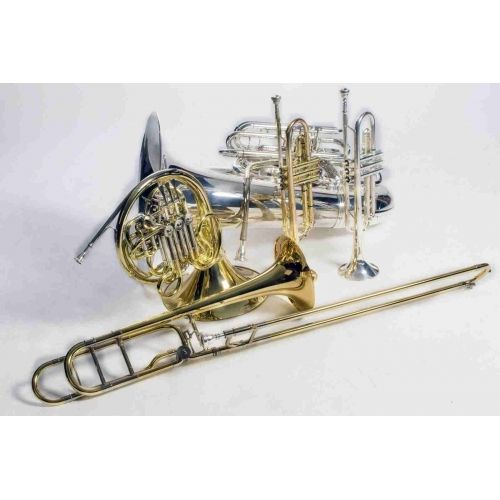 Priekulē būs koncerts "Prieks mājo mūzikā!"