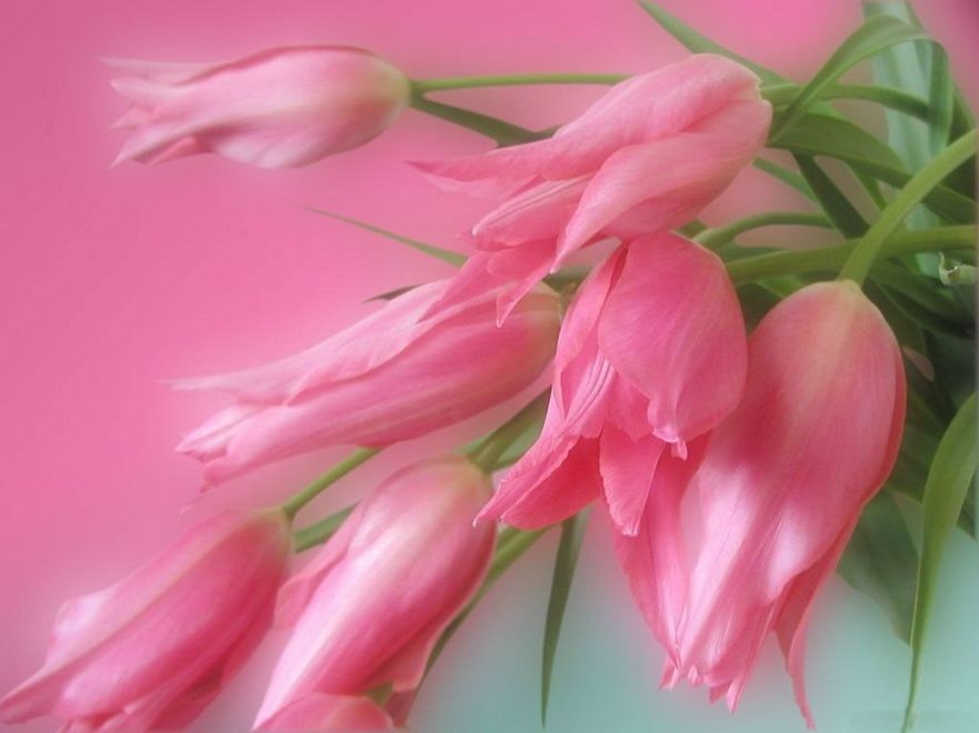  Bunkā būs Sieviešu dienas ballīte