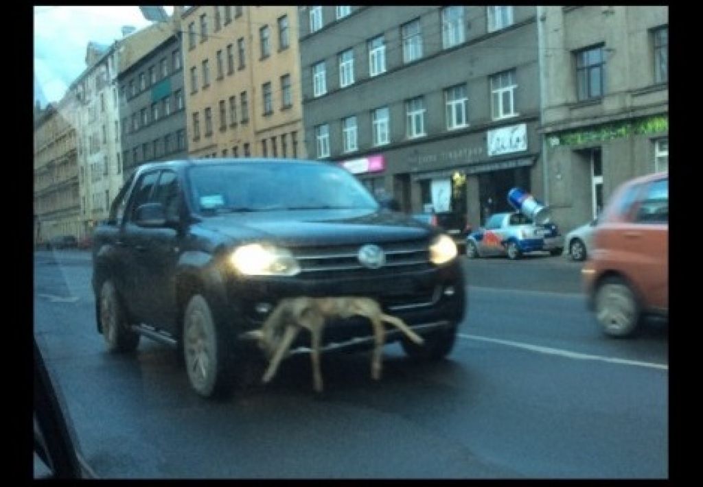 Par braukšanu ar stirnu bamperī piemēro mazāko iespējamo sodu