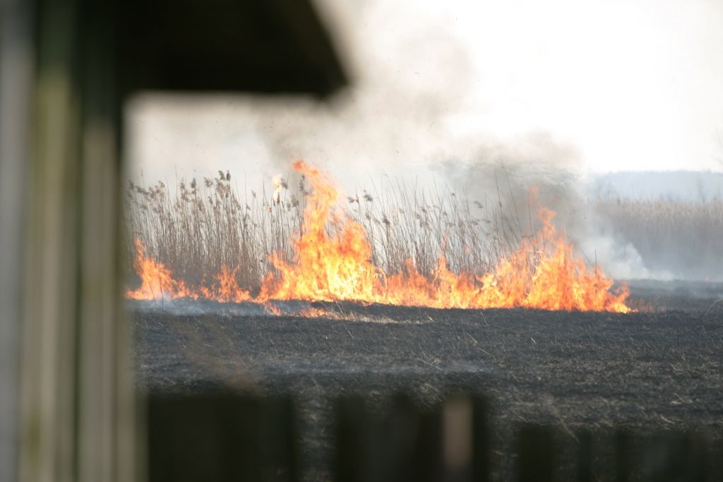 Daugavpilī piektdien dzēsti kūlas ugunsgrēki 17 000 kvadrātmetru platībā