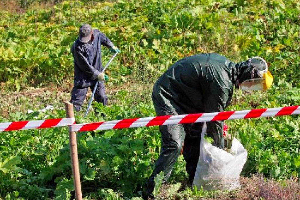 Rīga piesaka karu latvāņiem