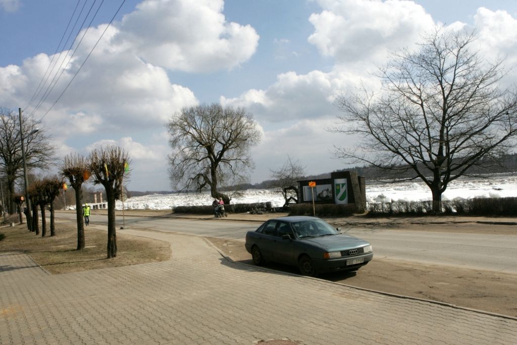 Āfrikas cūku mēris pirmo reizi konstatēts pilsētā 