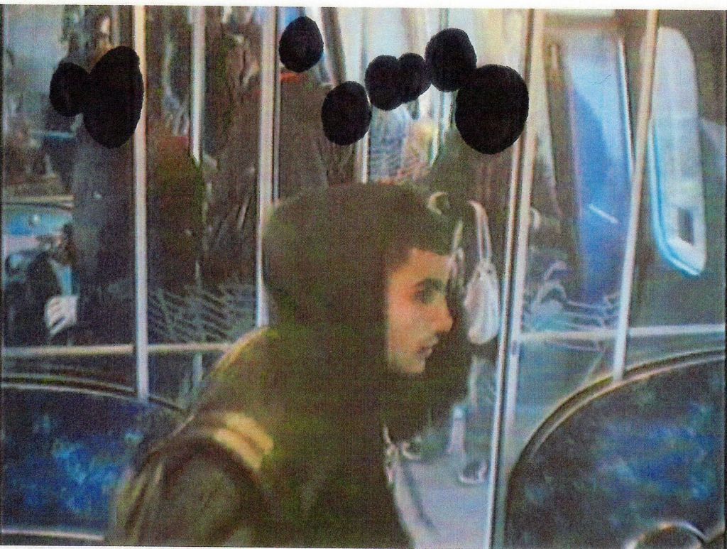 Apsūdzētais: Kopenhāgenas šāvēja mērķis bija mākslinieks Vilks