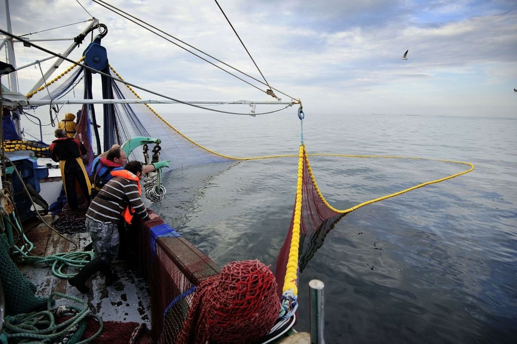 ES vienojas par plānu ilgtspējīgai mencu, brētliņu un reņģu krājumu pārvaldībai Baltijas jūrā