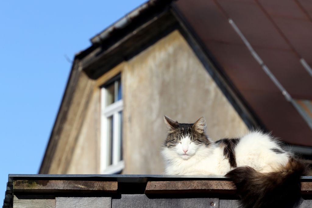 Šodien gaisa temperatūra paaugstināsies līdz plus 7 grādiem un daudzviet spīdēs saule