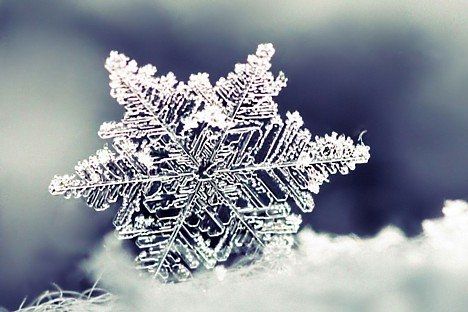 Kurzemē zemākā gaisa temperatūra bija Rucavā