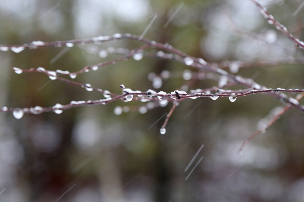 Rīta pusē vietām nedaudz līs un snigs slapjš sniegs