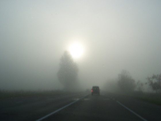 Kurzemē braukšanu apgrūtina migla