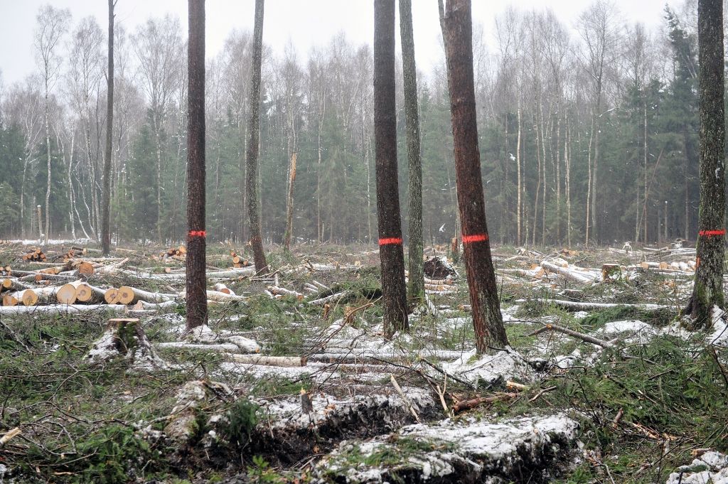 Latvijas zaļie mīti