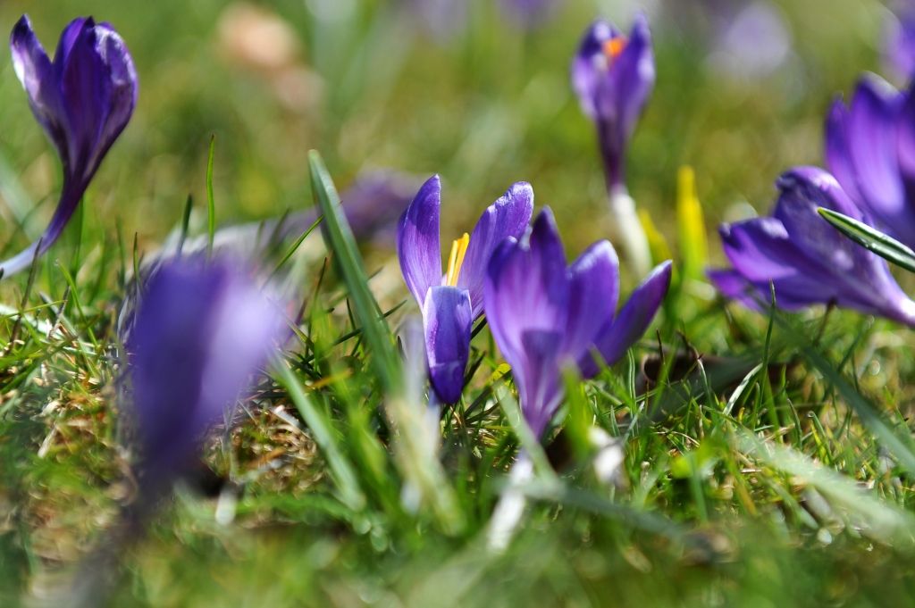 Zemgalē gaiss sasilis līdz +15 grādiem