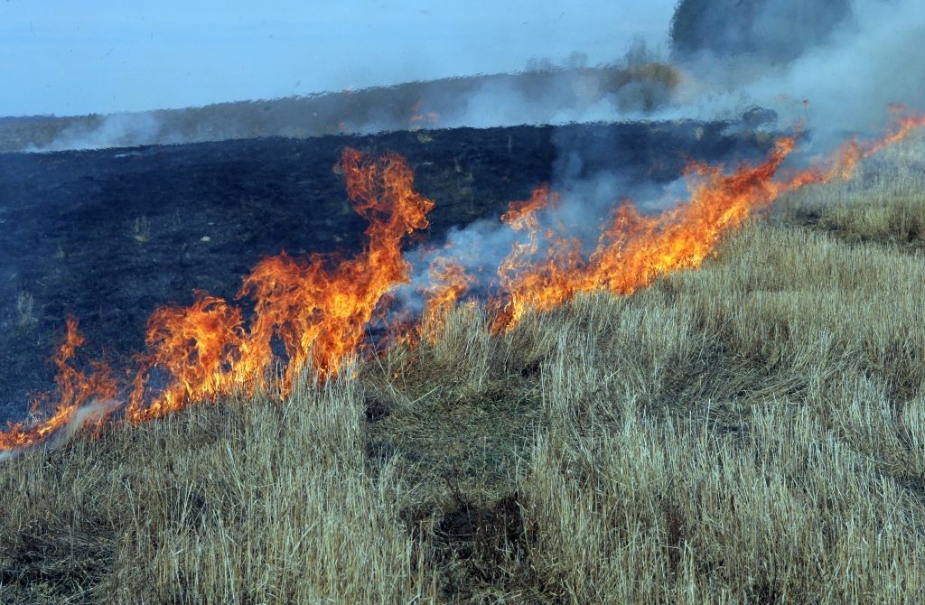 Lietus būtiski atvieglojis darbu ugunsdzēsējiem
