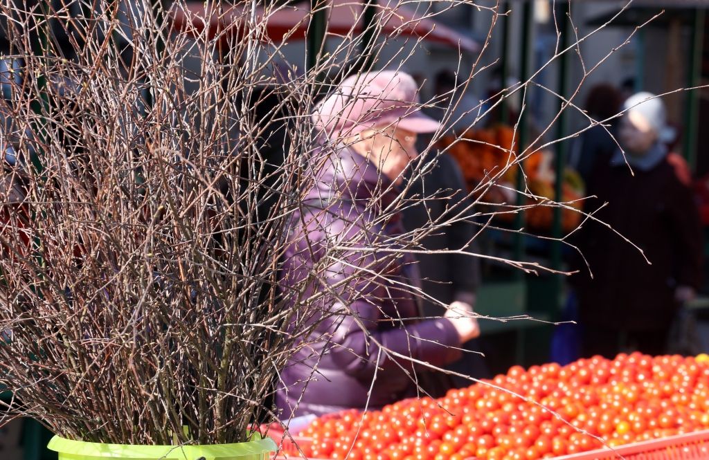 OECD ziņojumā kritizē nevienlīdzību un pabalstu sistēmu Latvijā