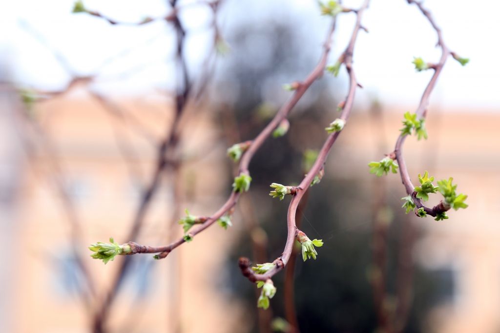 Nākamnedēļ kļūs arvien siltāks