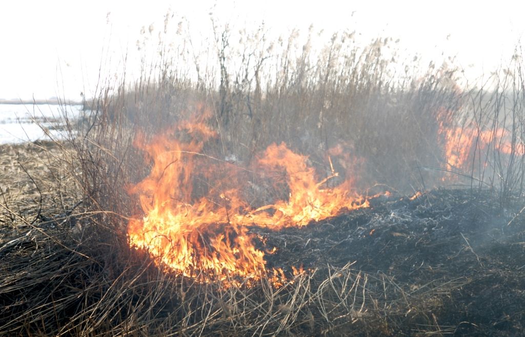 Nedēļas nogalē Latvijā dzēsts 151 kūlas ugunsgrēks