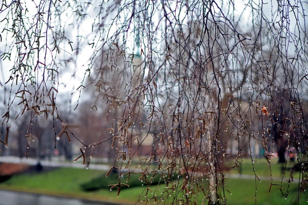 Šī nedēļa būs lietaina, vējaina un vēsa