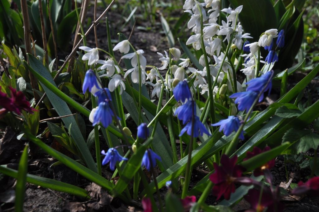 FOTO: Daba mostas, bet laiks lietains, vējains un vēss