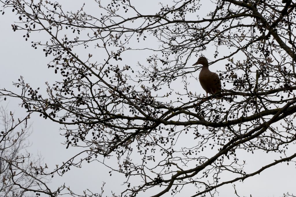 Lielās talkas dienā vietām gaidāms īslaicīgs lietus