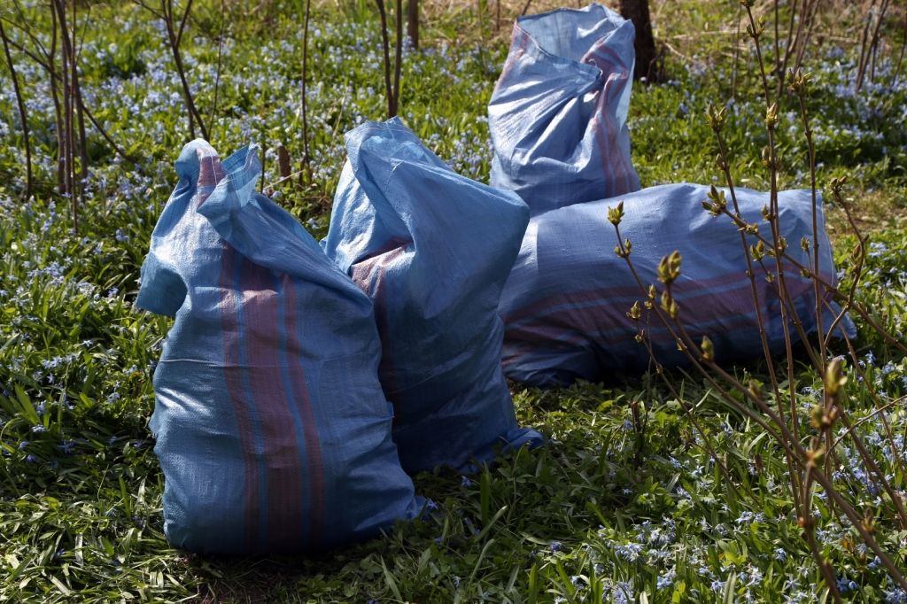 Dosies talkot? Ņem vērā! Mežā tevi var sagaidīt arī ērces un šļirces