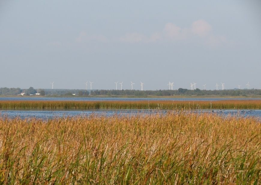 Meklēs risinājumus, lai novērstu Liepājas ezera aizaugšanu