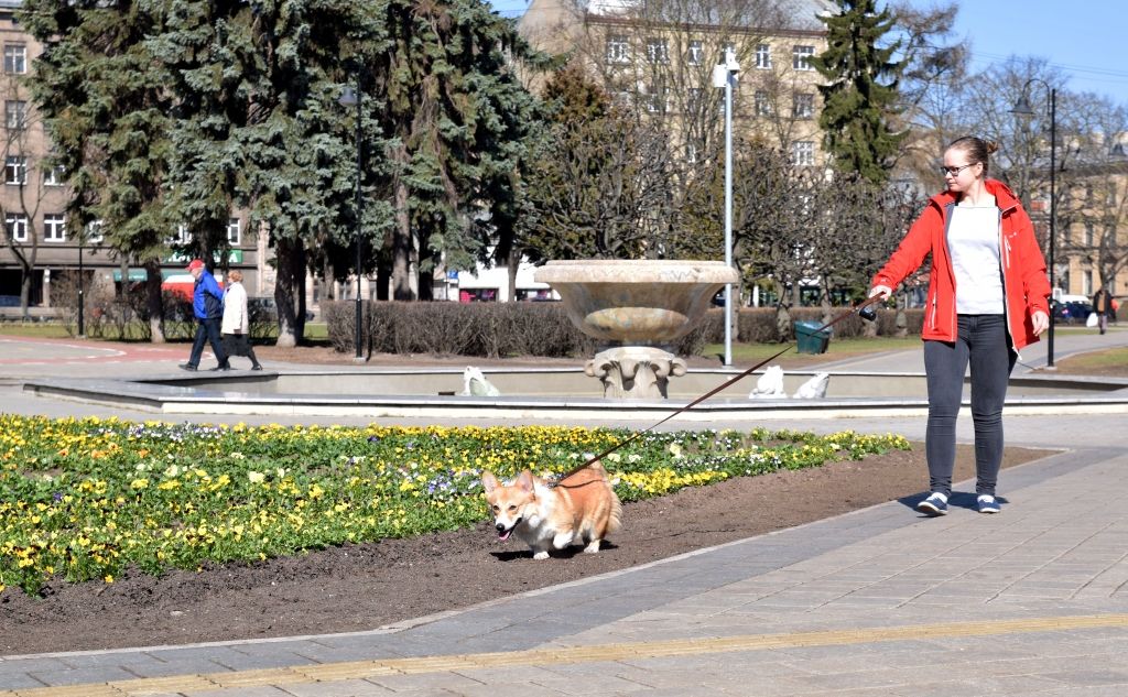 Trešdien gaiss iesils pat līdz plus 15 grādiem