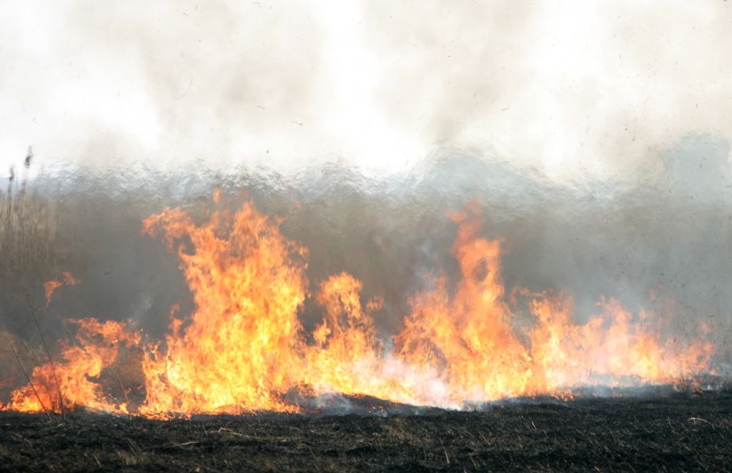 Līdz ar sausākiem laika apstākļiem atsāk kūlas dedzināšanu