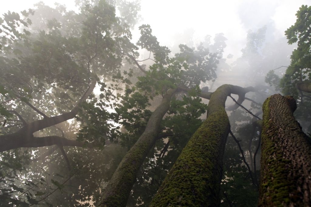 Šogad dzēsti jau 2276 kūlas ugunsgrēki