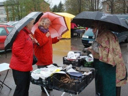  Grobiņas pagastā būs pavasara gadatirgus "Viss dārzam"
