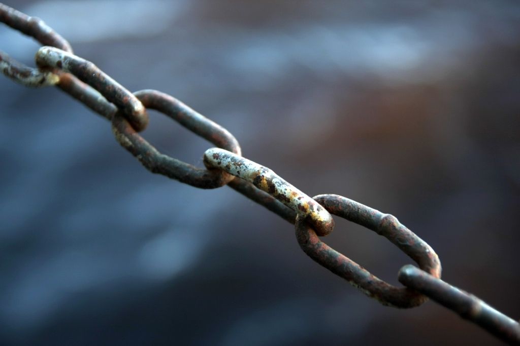 Trikātas pagastā konstatē nežēlīgu izturēšanos pret suni