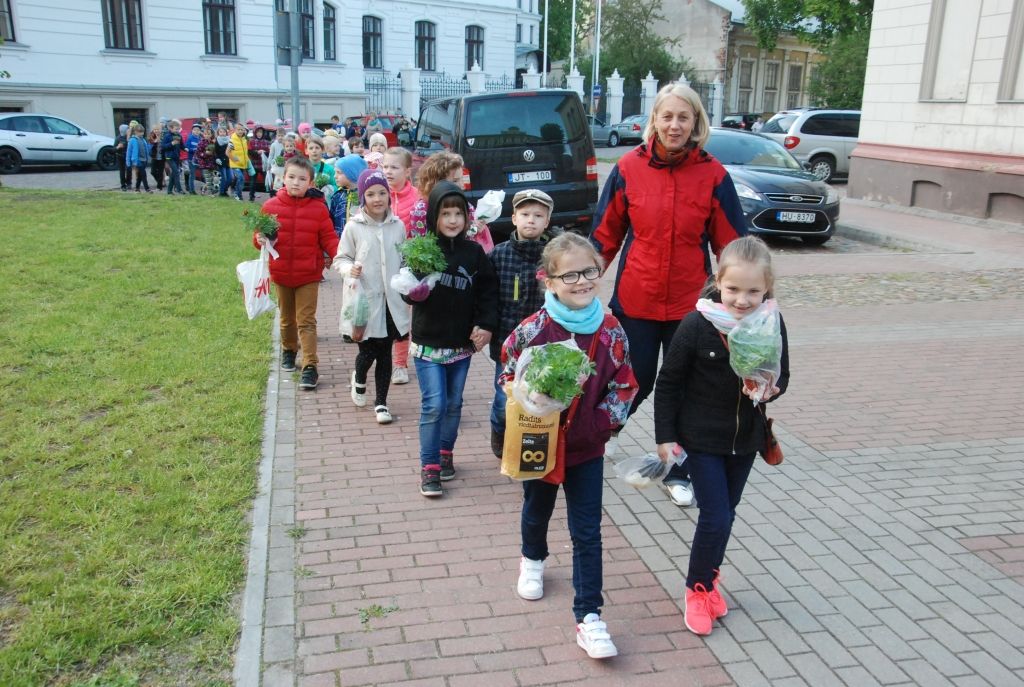 FOTO: Liepājas puķu dobēs stāda bērnu audzētos ziedu stādus