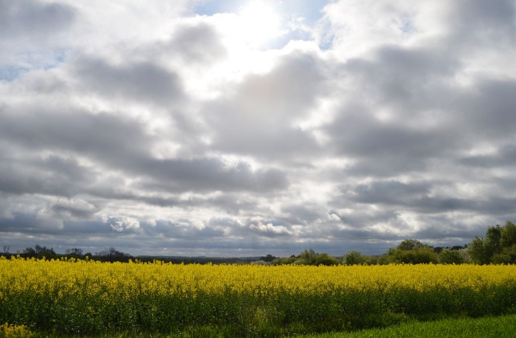 Temperatūra pakāpsies līdz +25 grādiem; austrumos gaidāms pērkona negaiss