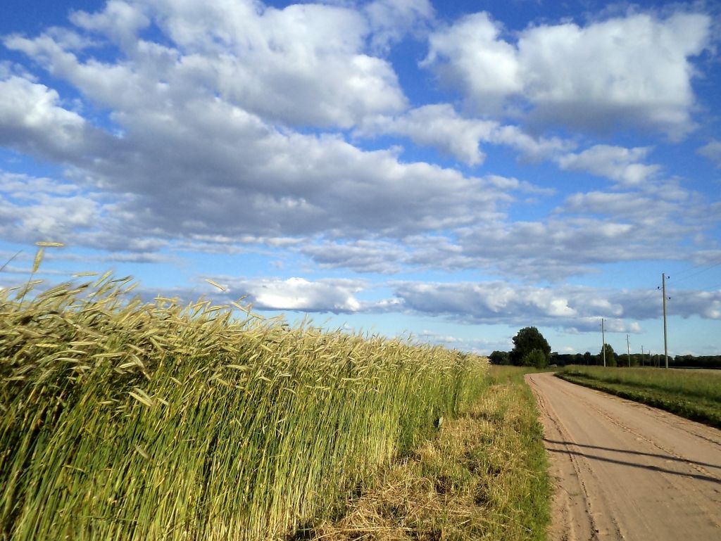 EK, draudot ar tiesvedību, pieprasa Latvijai grozīt tiesību aktus par zemes iegādi