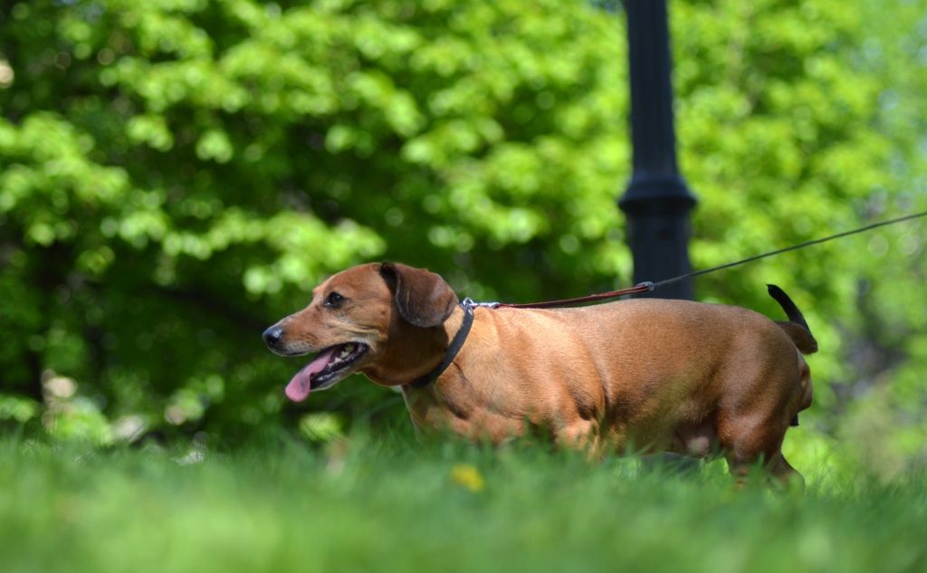 Pirmdien gaiss iesils līdz plus 29 grādiem