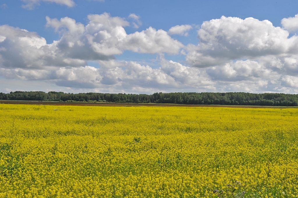 Latvijas likums par bargu Eiropai