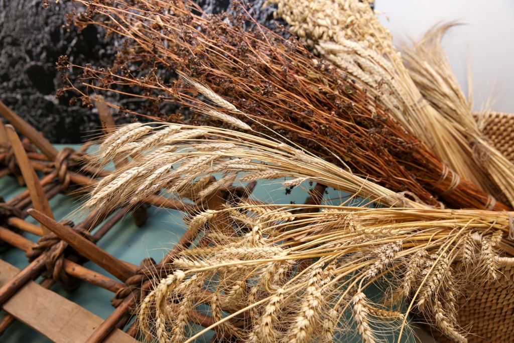 Krāpniekus grib padzīt no graudu tirdzniecības