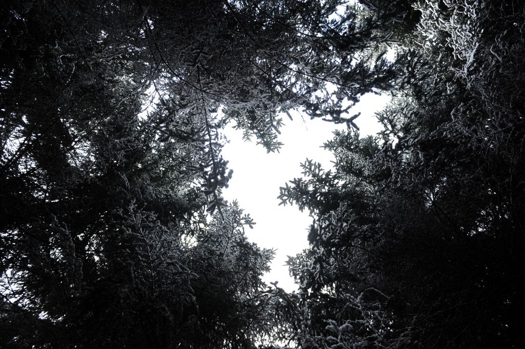 Būt dabā ar sirdi un prātu