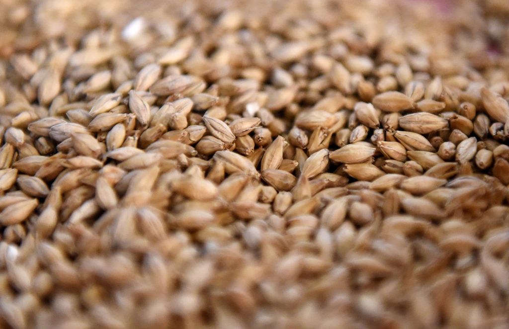 Cer iznīdēt negodīgu rīcību graudu nozarē